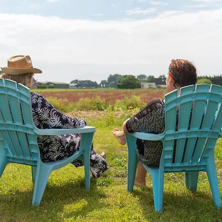 Vakantiehuis Het Zomerhuis *
