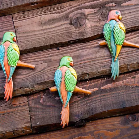 Casa de Férias Het Zomerhuis Egmond-Binnen