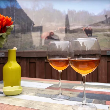 Vakantiehuis Het Zomerhuis